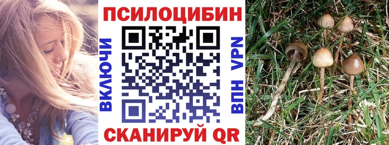 OMG ссылки  Велиж  Галлюциногенные грибы мицелий 